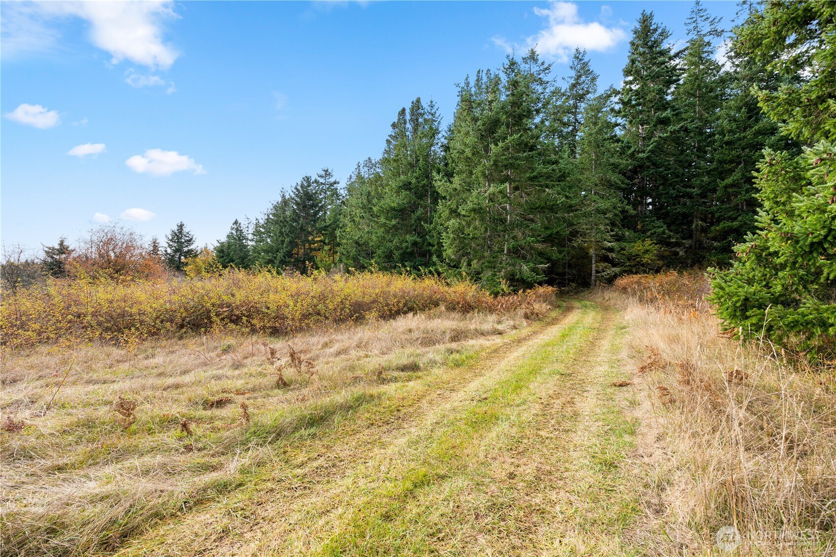 0 Pear Point Road Friday Harbor, WA 98250 - Photo 12 of 40 a view of yard