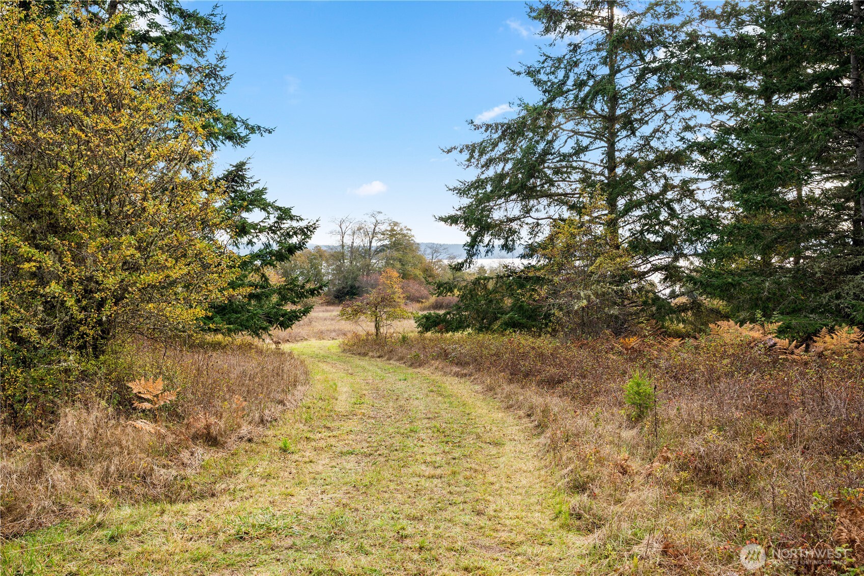 0 Pear Point Road Friday Harbor, WA 98250 - Photo 14 of 40 a view of a lake
