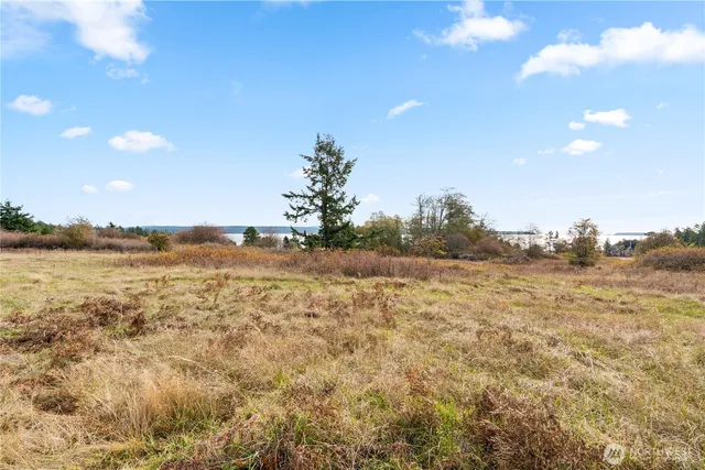 a view of an ocean and beach