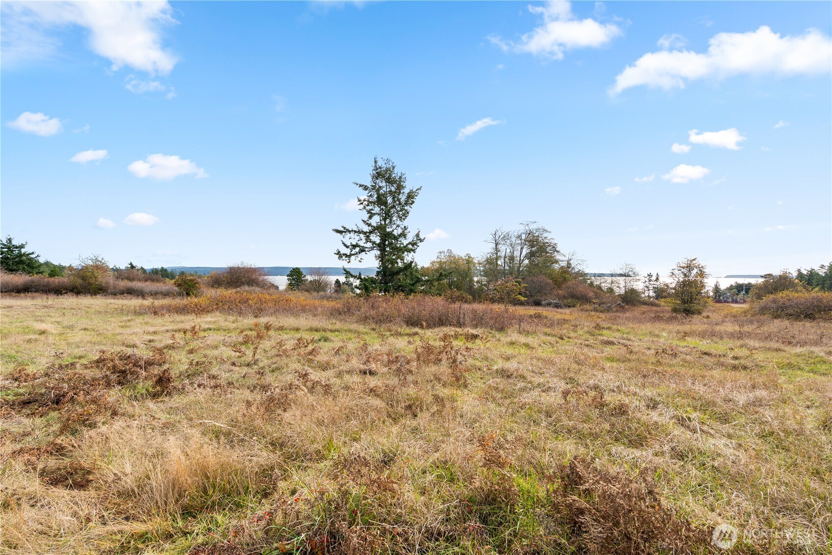 0 Pear Point Road Friday Harbor, WA 98250 - Photo 17 of 40 a view of an ocean and beach