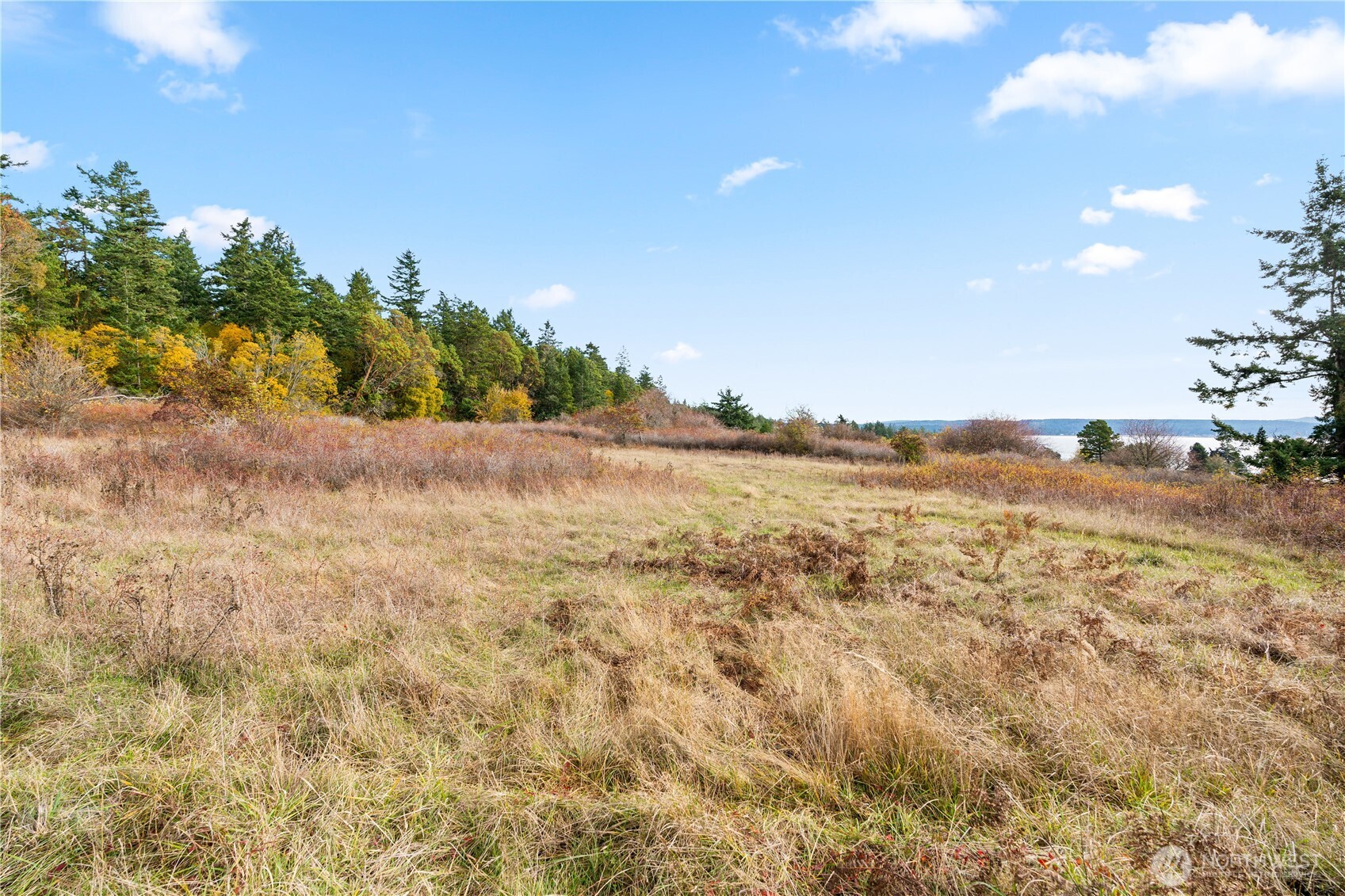 0 Pear Point Road Friday Harbor, WA 98250 - Photo 18 of 40 a view of an ocean and beach