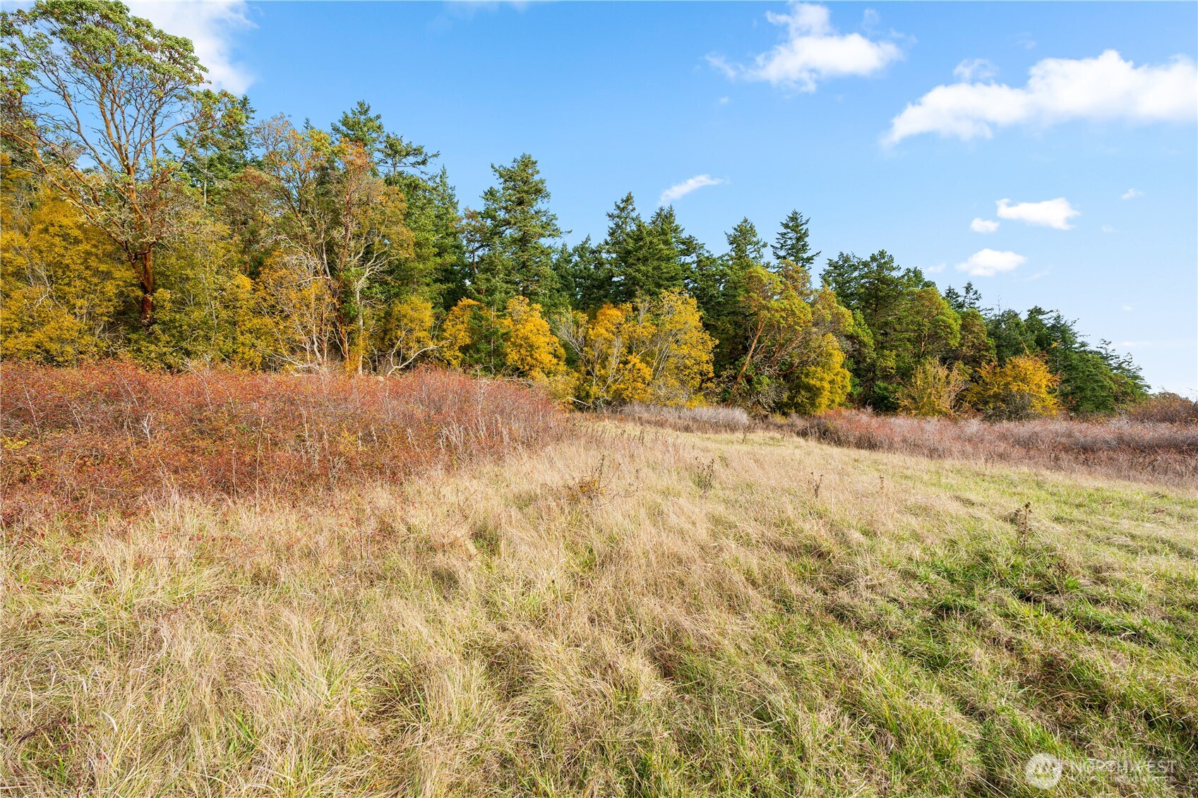 0 Pear Point Road Friday Harbor, WA 98250 - Photo 20 of 40 a view of a yard with a house