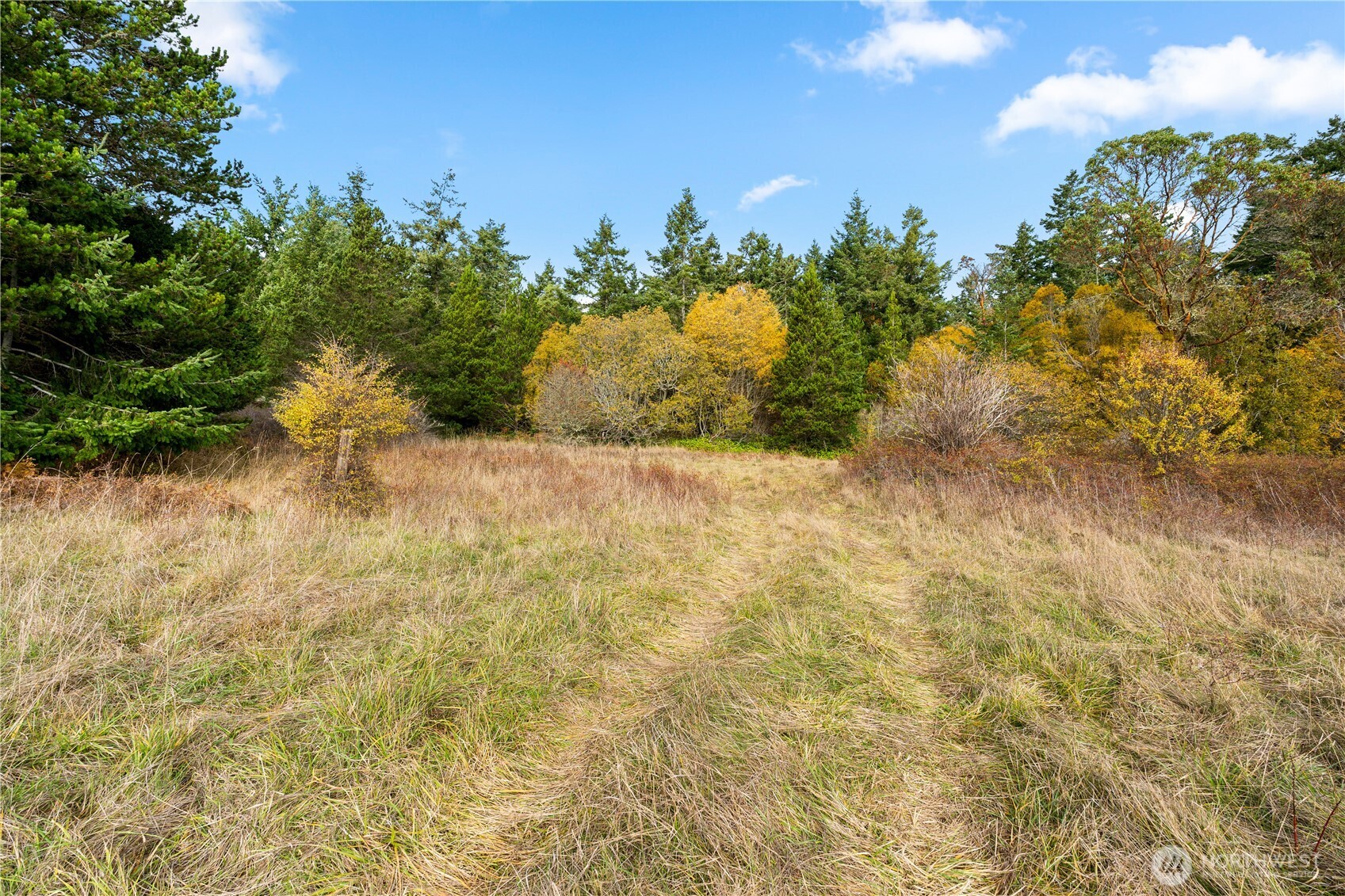0 Pear Point Road Friday Harbor, WA 98250 - Photo 21 of 40 a view of a yard