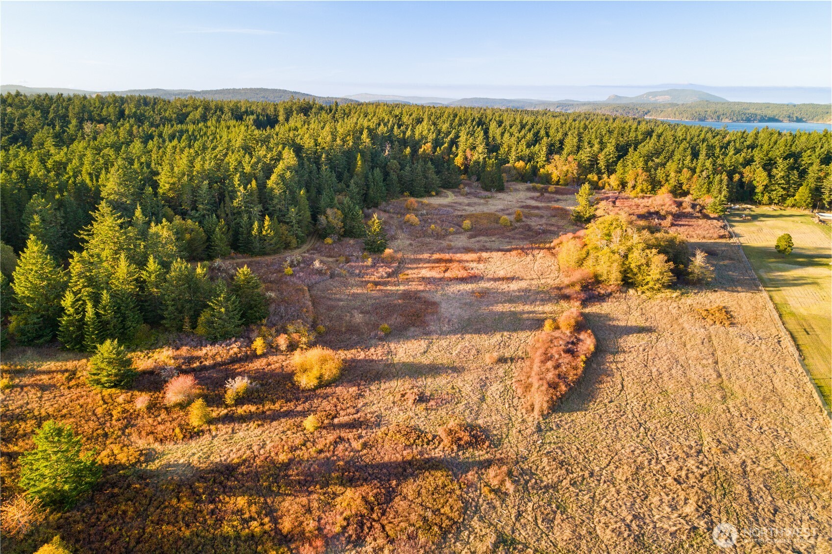 0 Pear Point Road Friday Harbor, WA 98250 - Photo 29 of 40 a view of a yard with an outdoor space