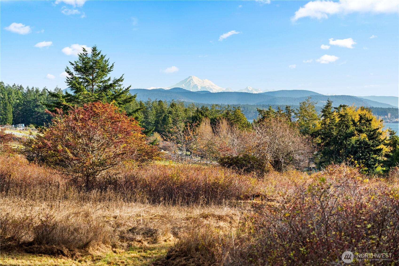 0 Pear Point Road Friday Harbor, WA 98250 - Photo 3 of 40 a view of lake with mountain
