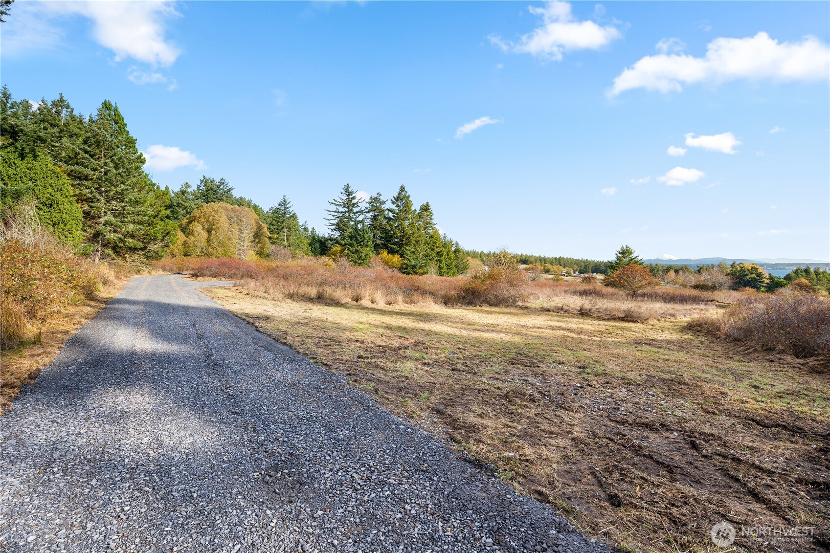 0 Pear Point Road Friday Harbor, WA 98250 - Photo 4 of 40 a view of a field with an ocean