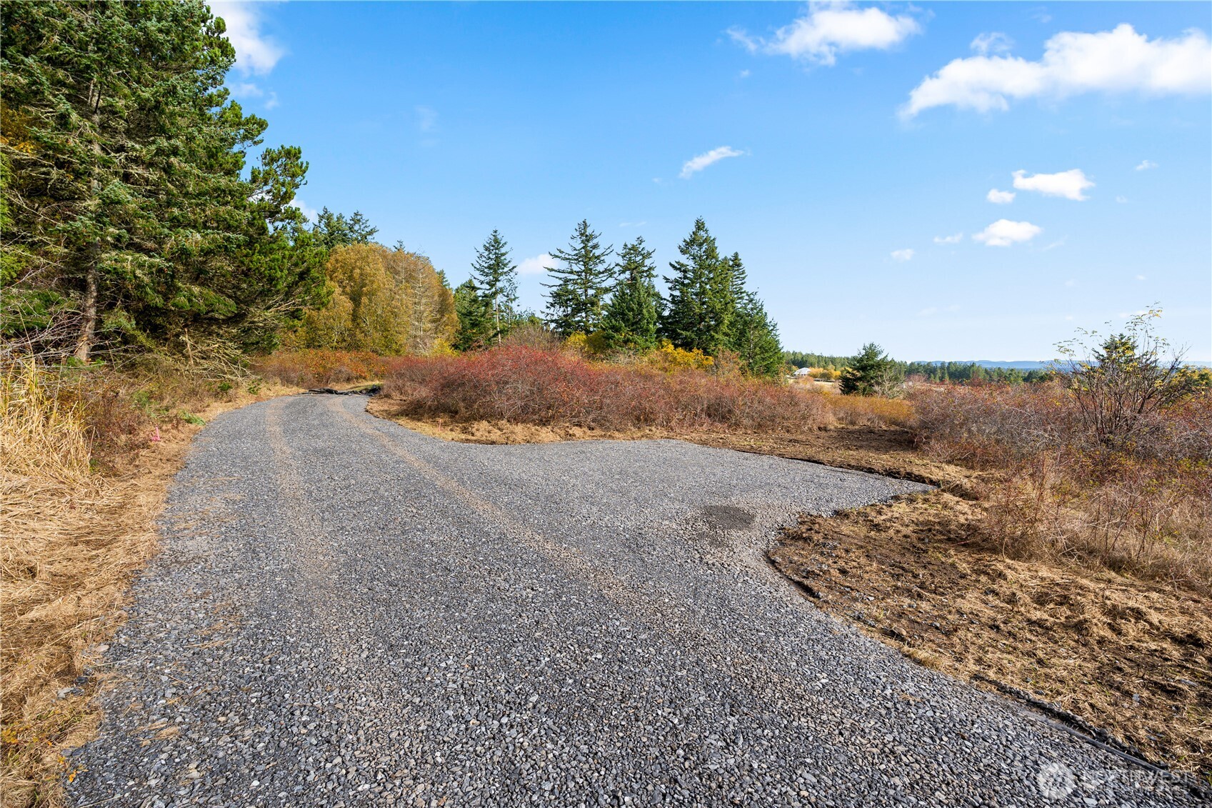 0 Pear Point Road Friday Harbor, WA 98250 - Photo 5 of 40 a view of a dry yard with trees