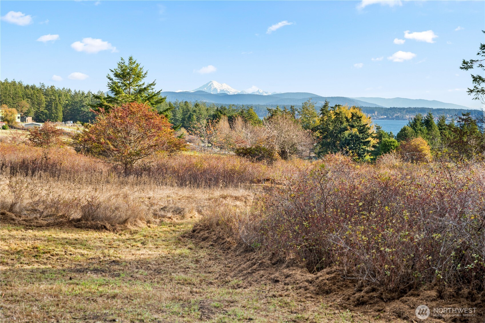 0 Pear Point Road Friday Harbor, WA 98250 - Photo 6 of 40 a view of a lake