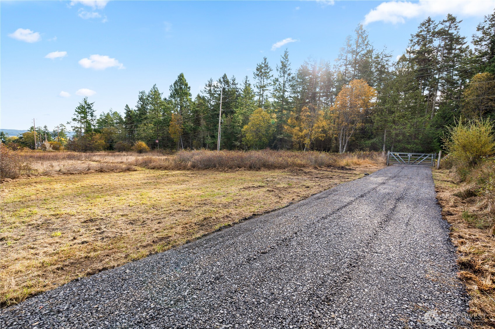 0 Pear Point Road Friday Harbor, WA 98250 - Photo 7 of 40 a view of a yard with an outdoor space