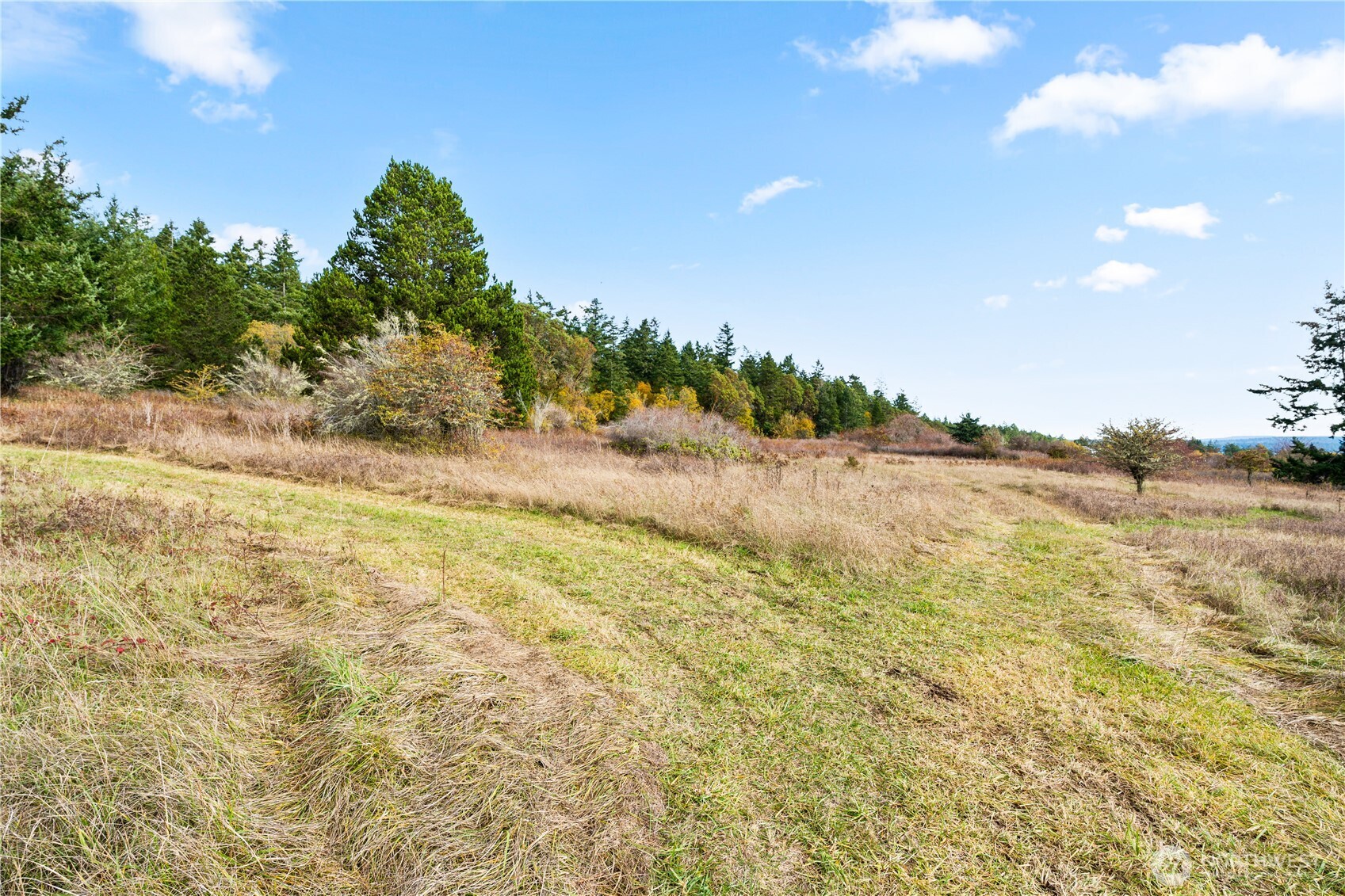 0 Pear Point Road Friday Harbor, WA 98250 - Photo 8 of 40 a view of ocean view with beach