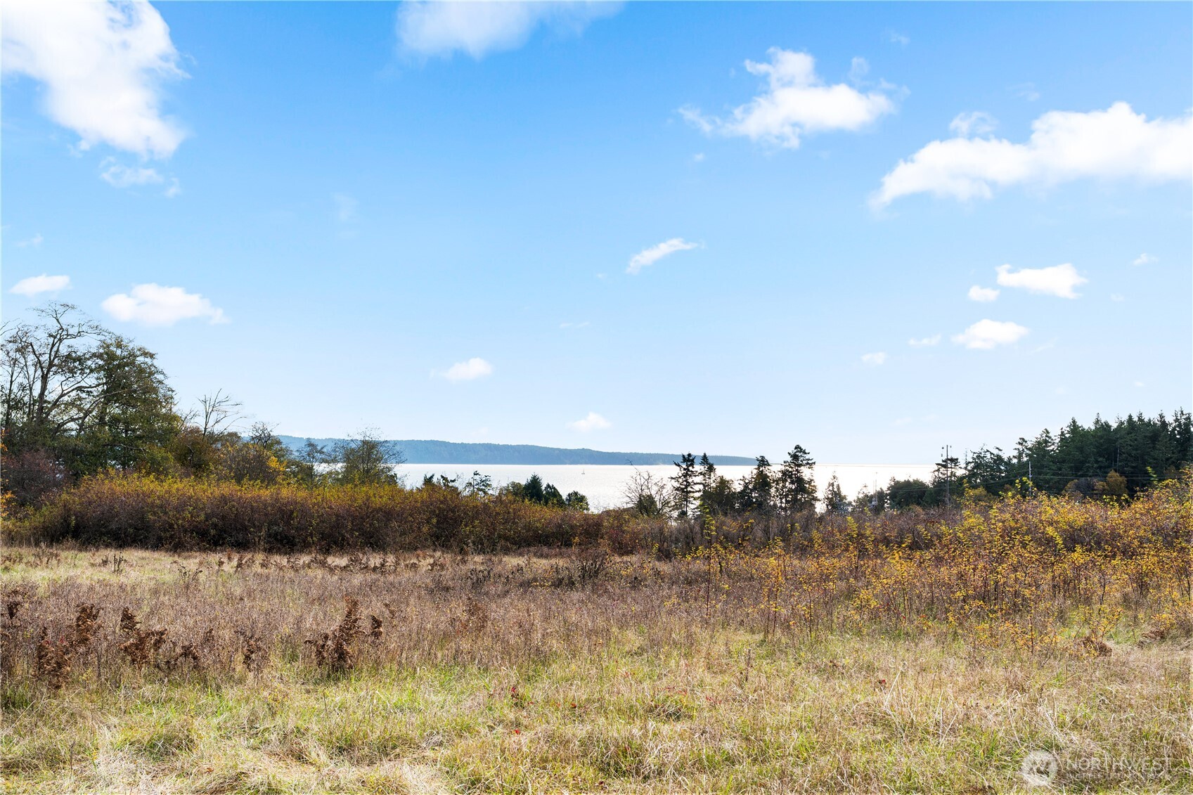 0 Pear Point Road Friday Harbor, WA 98250 - Photo 9 of 40 a view of lake