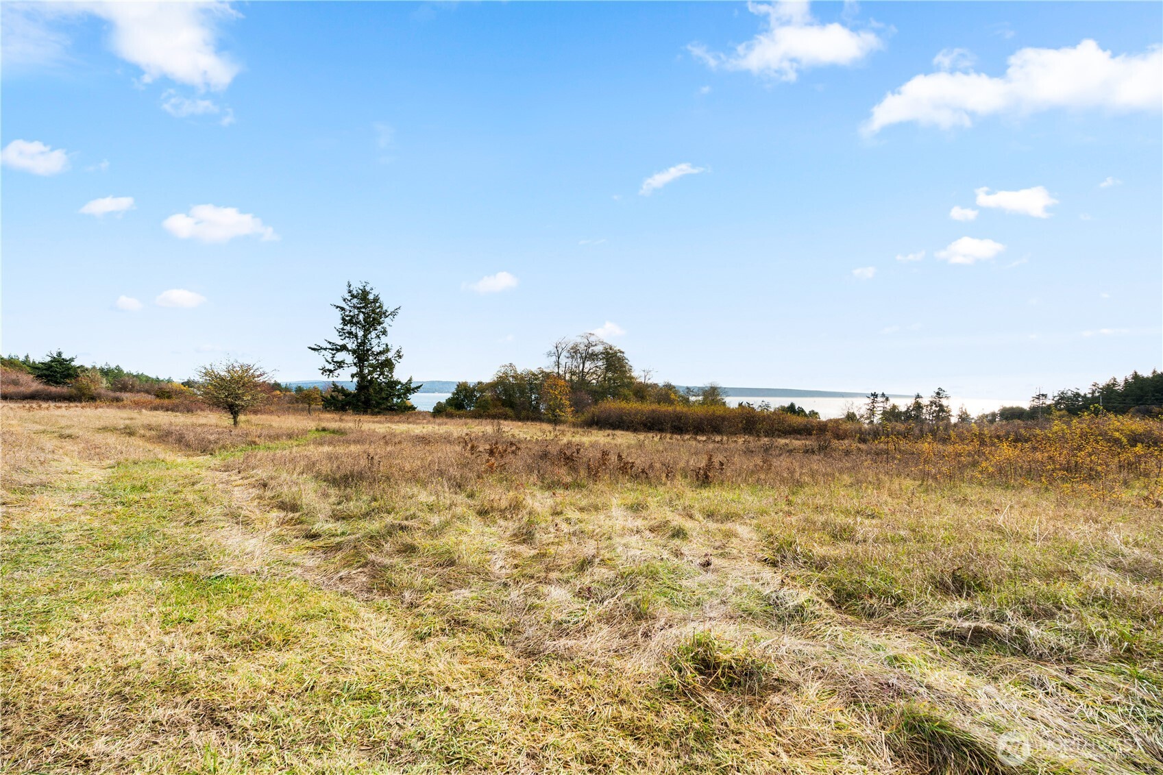 0 Pear Point Road Friday Harbor, WA 98250 - Photo 10 of 40 a view of ocean