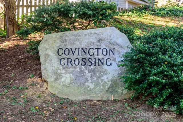 a view of a park that has large trees