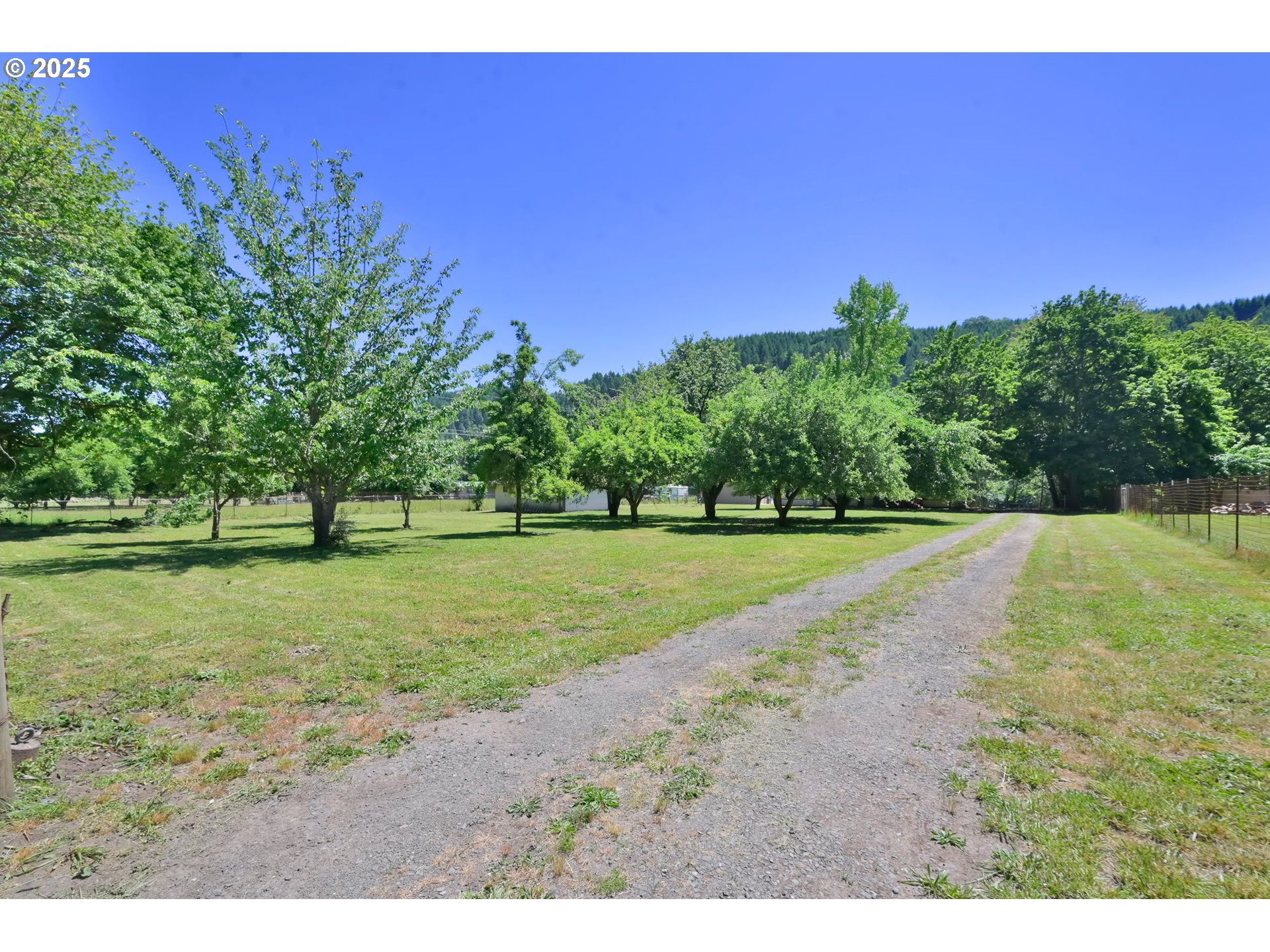 7349 Henderer Road Elkton, OR 97436 - Photo 37 of 48