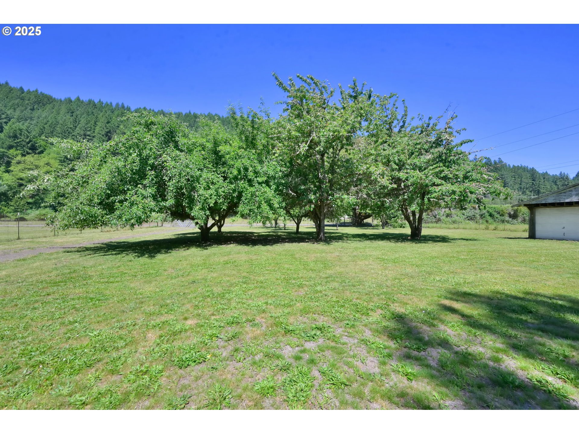 7349 Henderer Road Elkton, OR 97436 - Photo 41 of 48