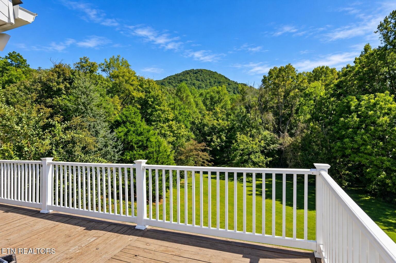 8414 Bud Hawkins Road Corryton, TN 37721 - Photo 52 of 56 Gallery Image 52