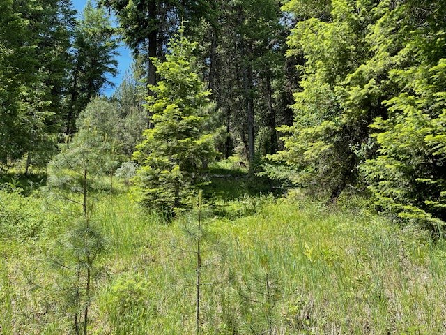 Lot 20 Little Salmon Road, Unit 20 New Meadows, ID 83654 - Photo 10 of 11