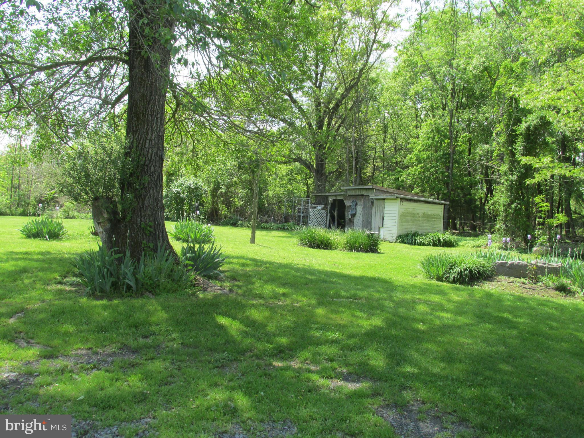 2982 Rittenour Road Woodstock, VA 22664 - Photo 18 of 23 Exterior (Rear)