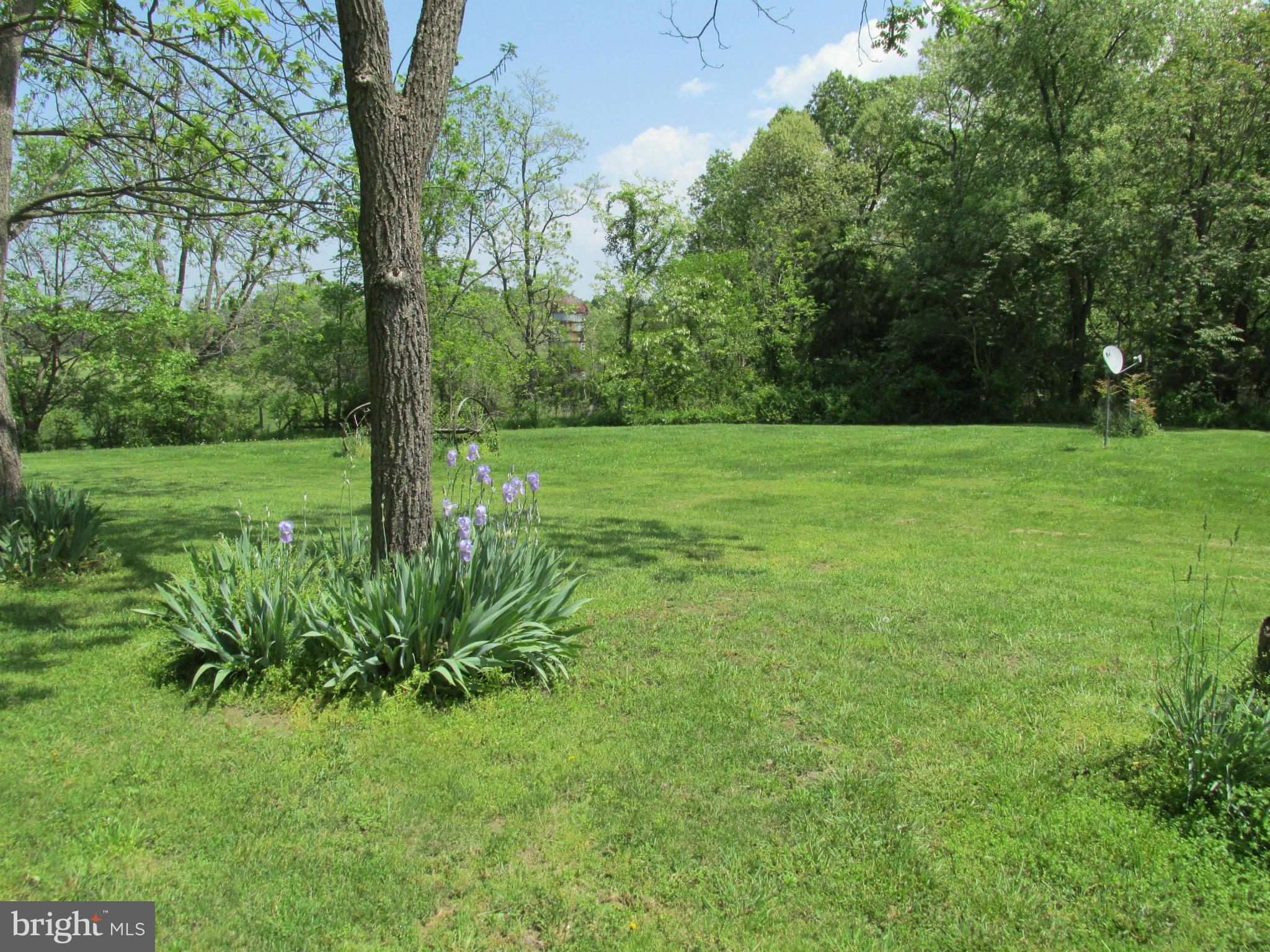 2982 Rittenour Road Woodstock, VA 22664 - Photo 20 of 23 Exterior (Rear)