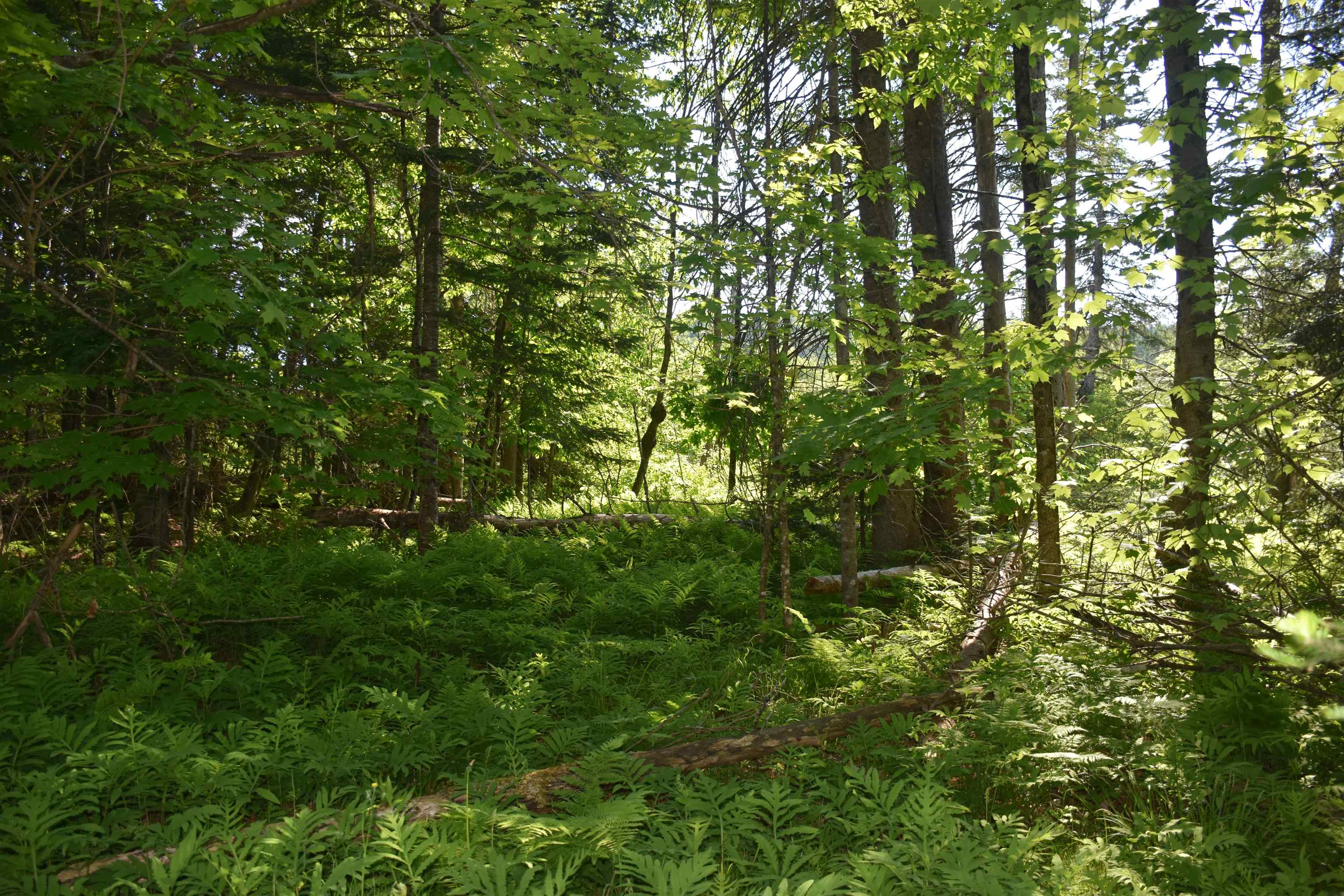 0 Bisson Road Barre, VT 05641 - Photo 12 of 16