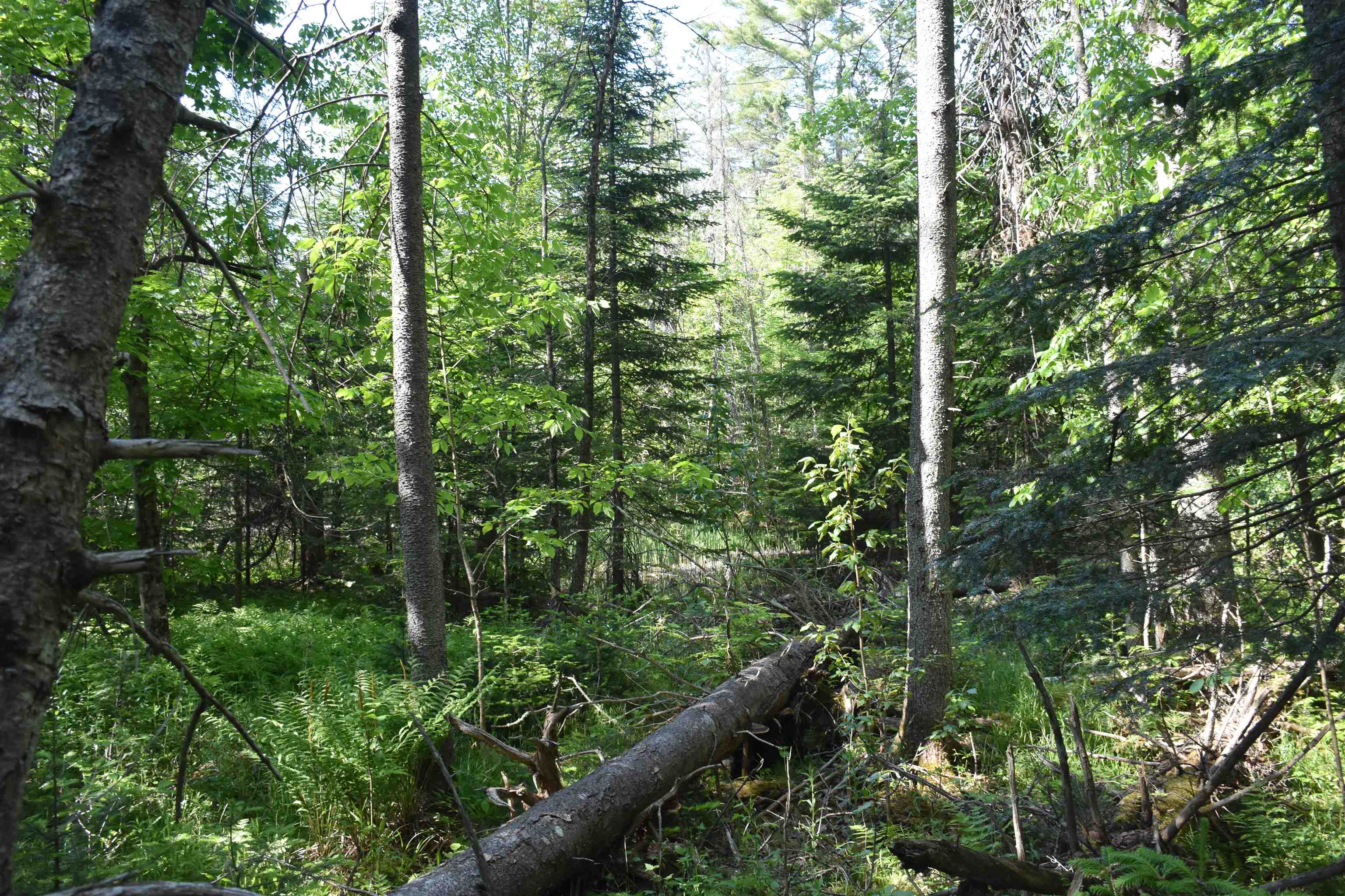 0 Bisson Road Barre, VT 05641 - Photo 13 of 16