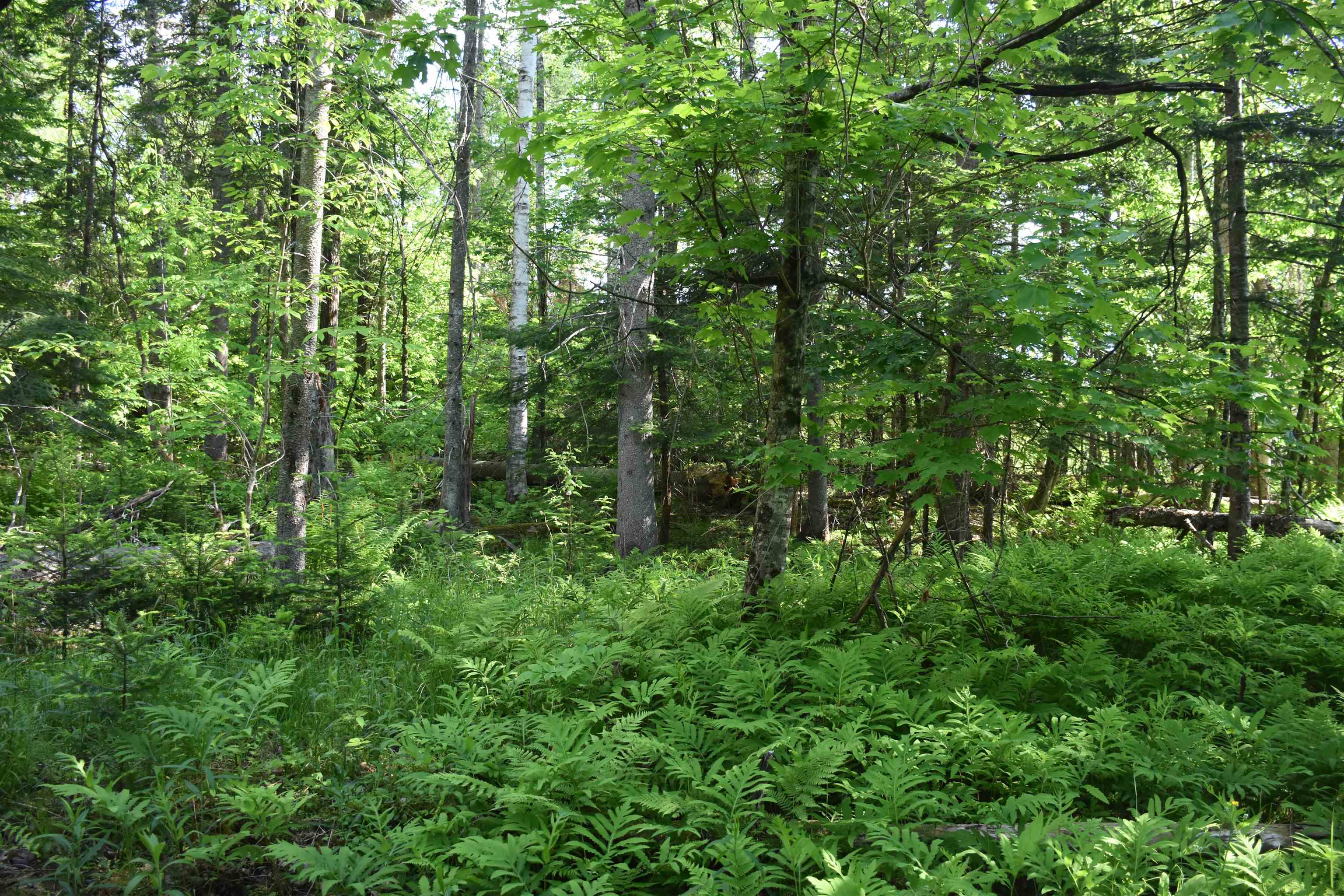 0 Bisson Road Barre, VT 05641 - Photo 2 of 16