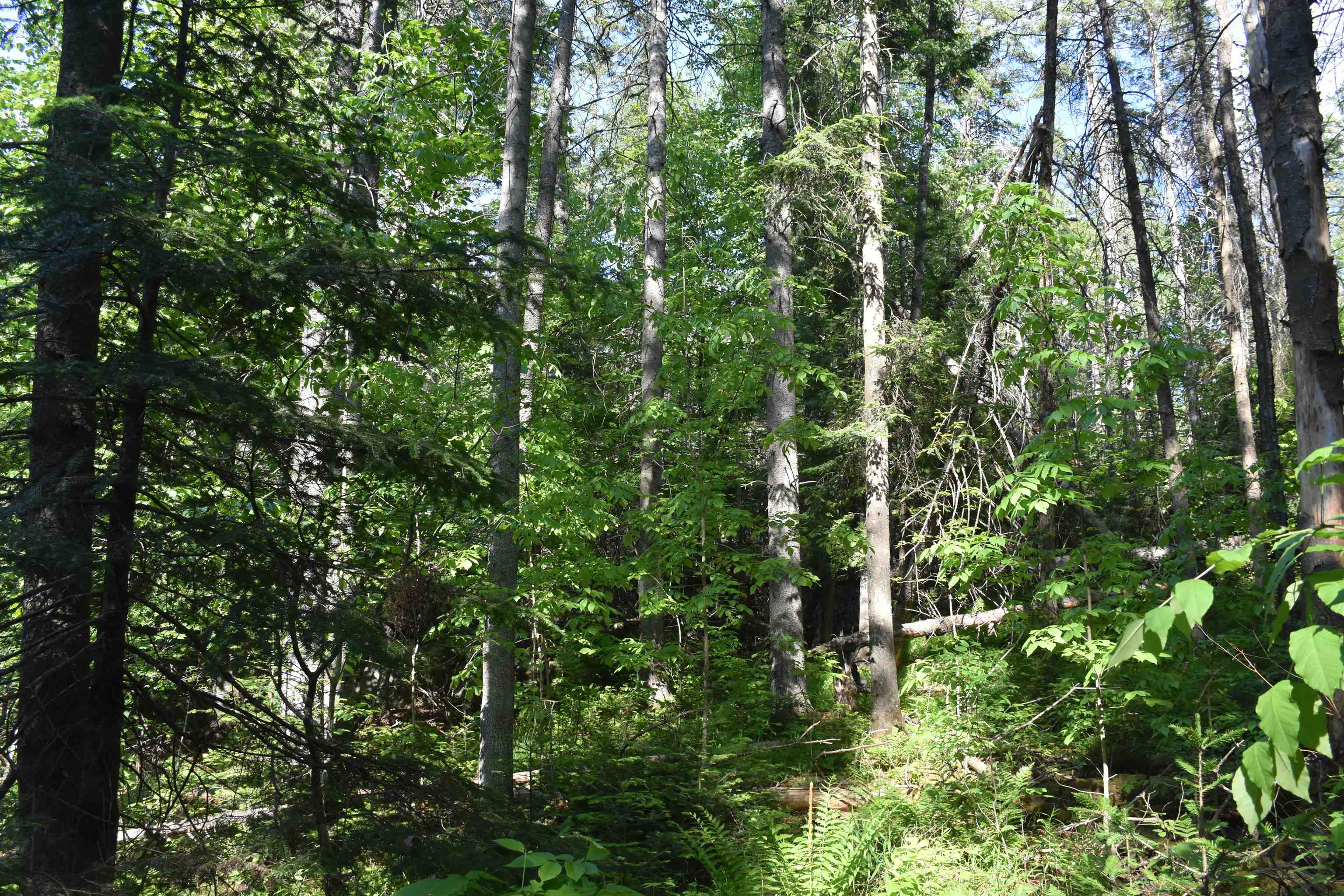 0 Bisson Road Barre, VT 05641 - Photo 3 of 16