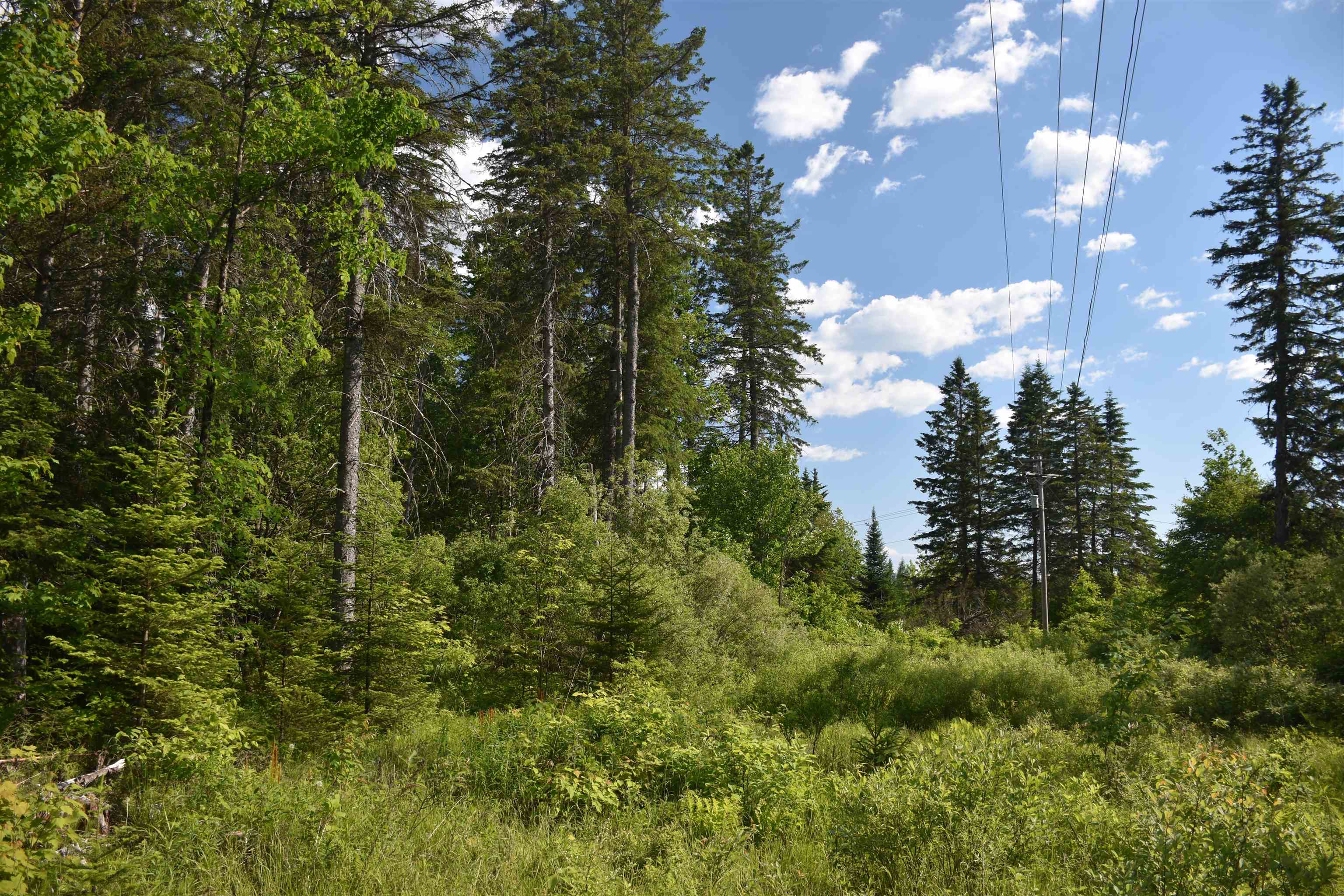 0 Bisson Road Barre, VT 05641 - Photo 9 of 16