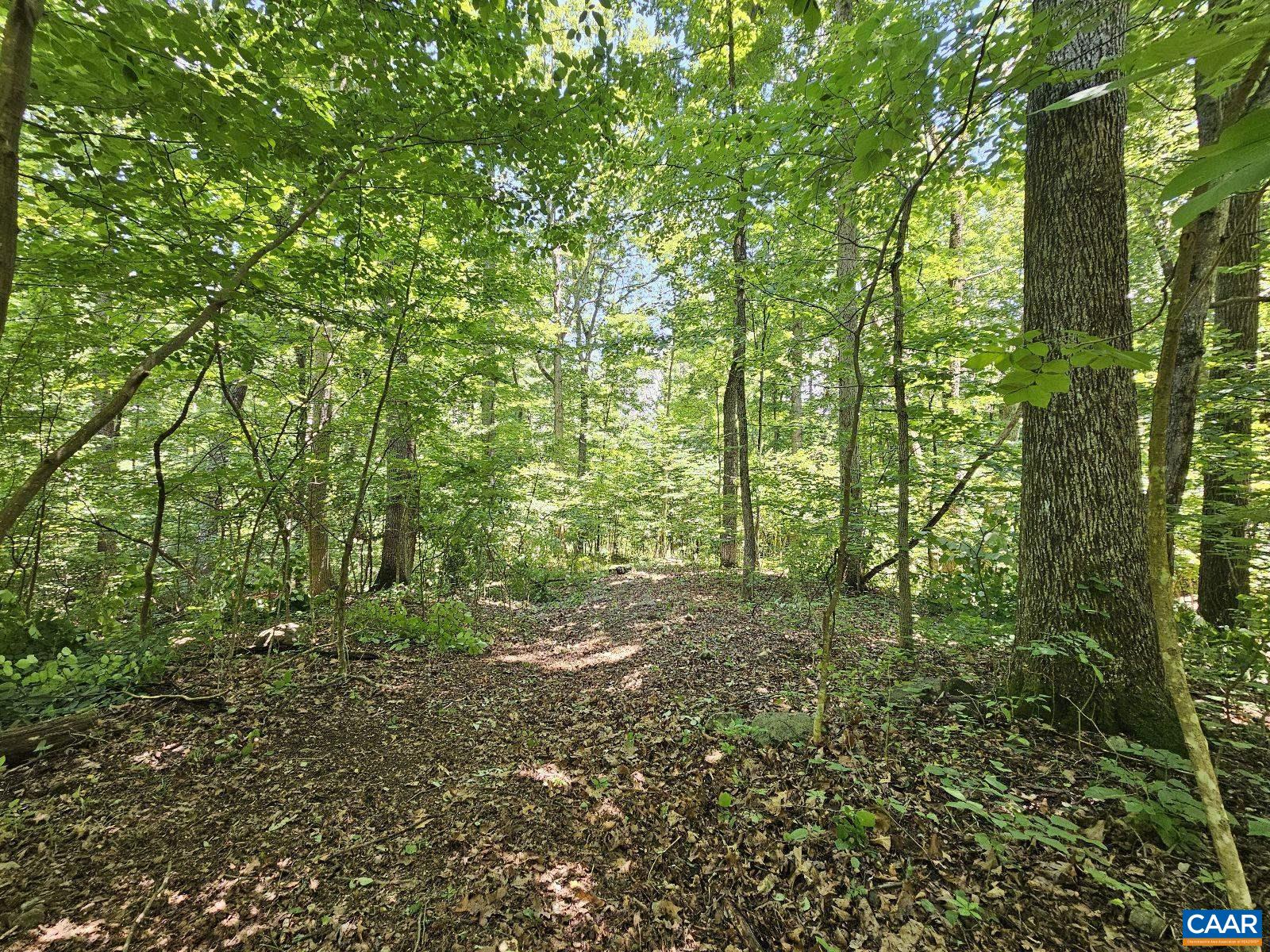 Tbd Lot 18 Tbd Road Stanardsville, VA 22973 - Photo 1 of 37 Gallery Image 1