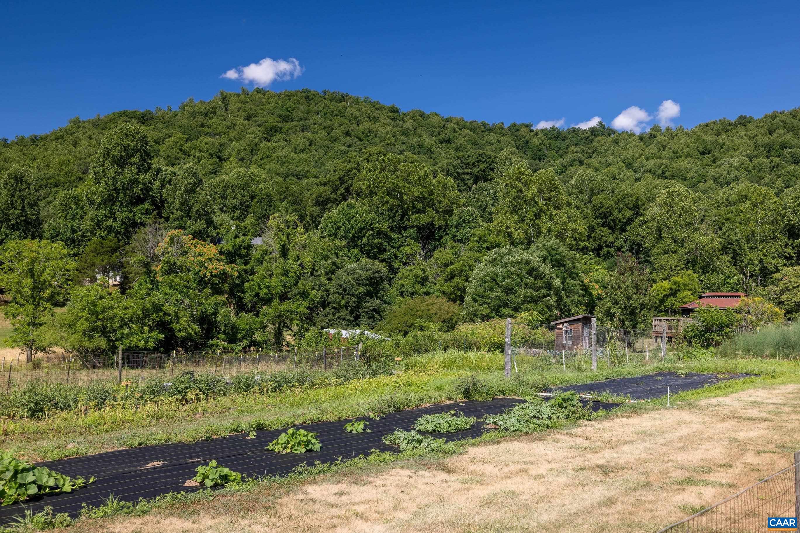 Tbd Lot 18 Tbd Road Stanardsville, VA 22973 - Photo 20 of 37 Gallery Image 20