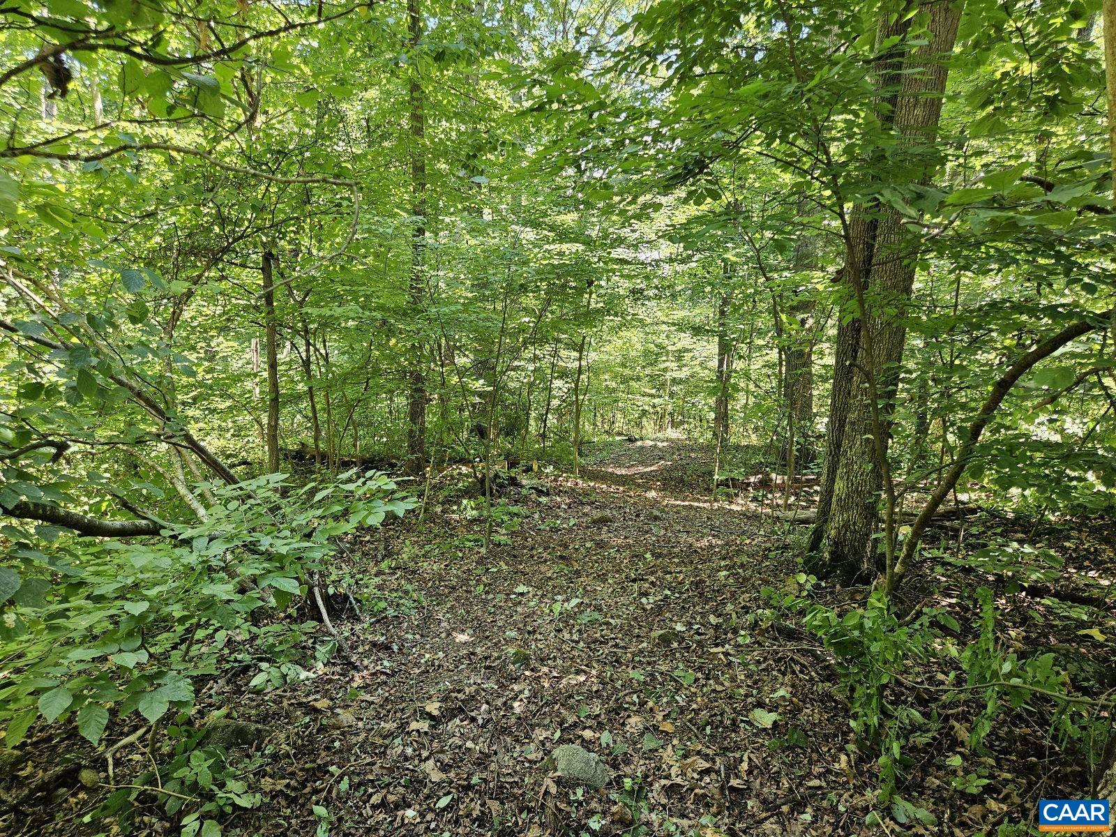 Tbd Lot 18 Tbd Road Stanardsville, VA 22973 - Photo 2 of 37 Gallery Image 2