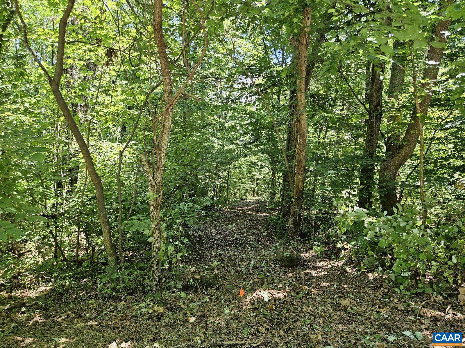 Tbd Lot 18 Tbd Road Stanardsville, VA 22973 - Photo 3 of 37 Gallery Image 3