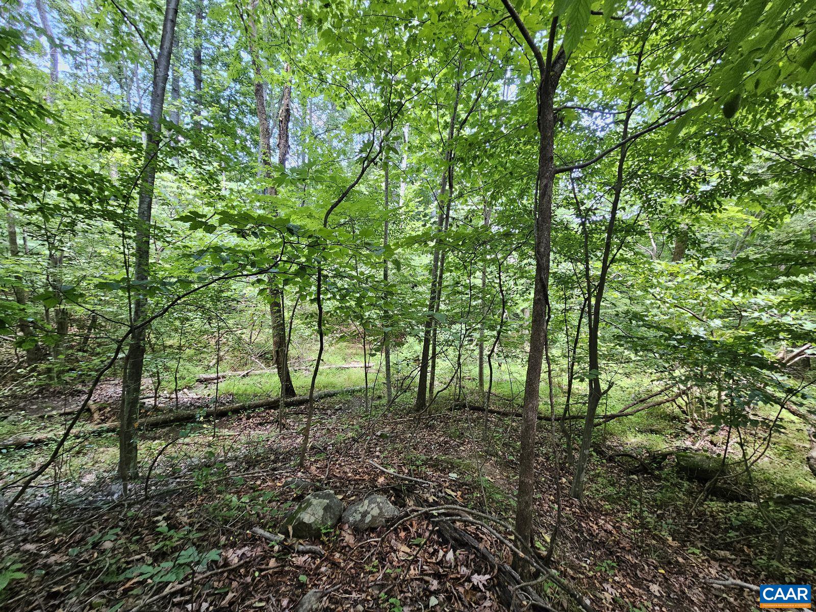 Tbd Lot 18 Tbd Road Stanardsville, VA 22973 - Photo 4 of 37 Gallery Image 4