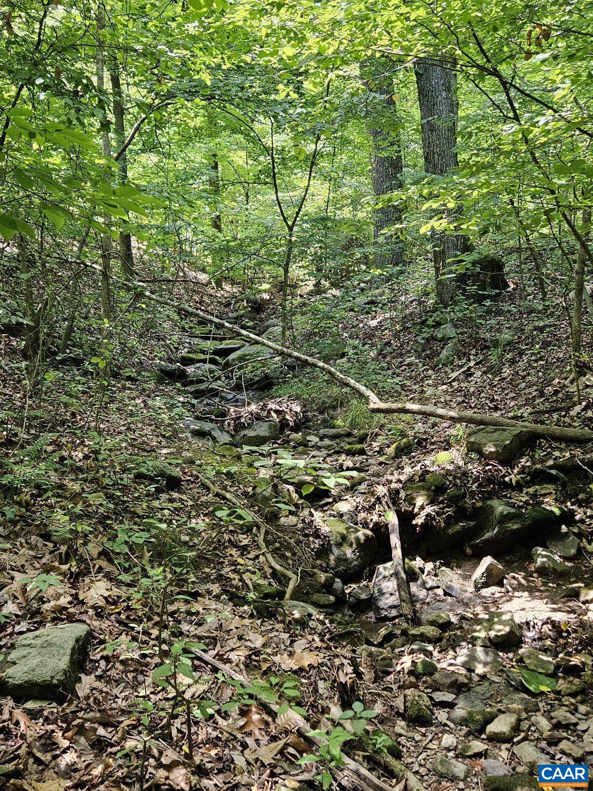 Tbd Lot 18 Tbd Road Stanardsville, VA 22973 - Photo 5 of 37 Gallery Image 5