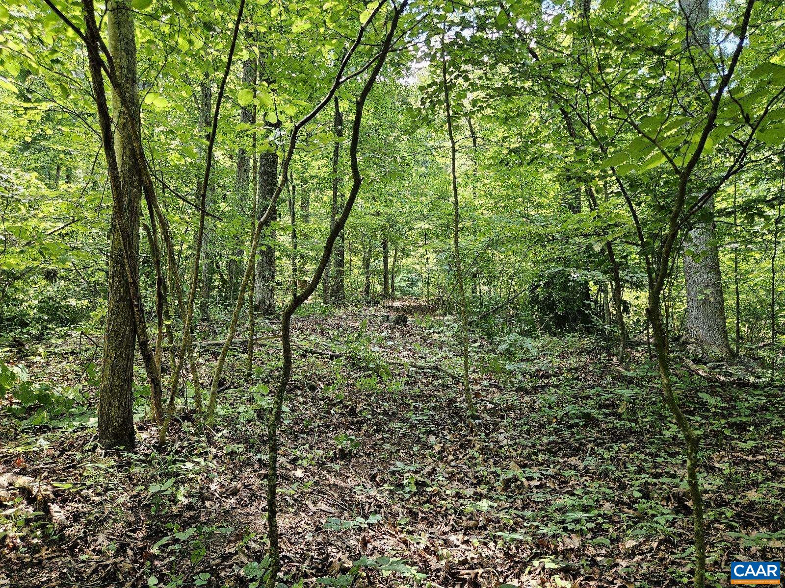 Tbd Lot 18 Tbd Road Stanardsville, VA 22973 - Photo 6 of 37 Gallery Image 6