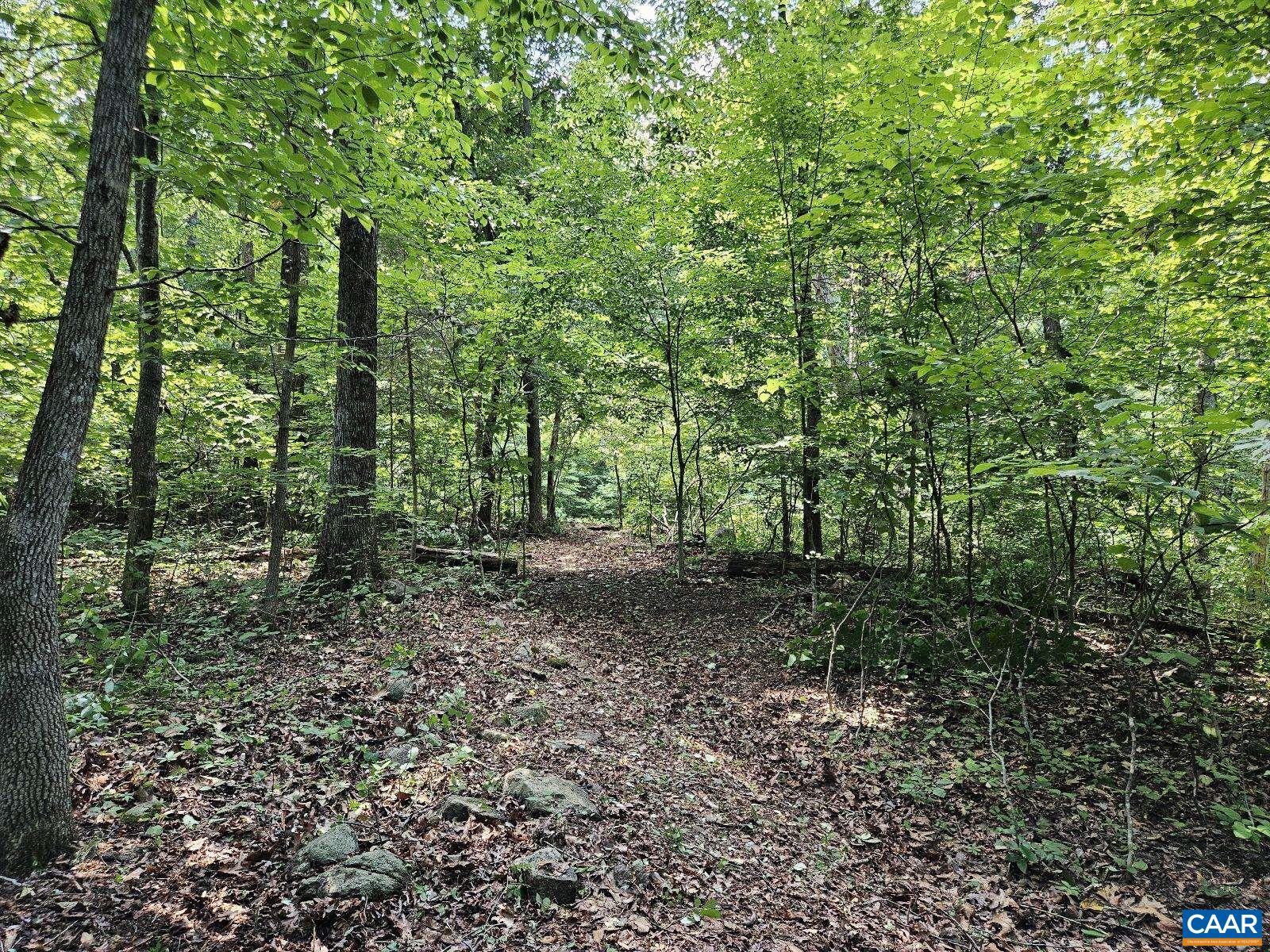 Tbd Lot 18 Tbd Road Stanardsville, VA 22973 - Photo 7 of 37 Gallery Image 7