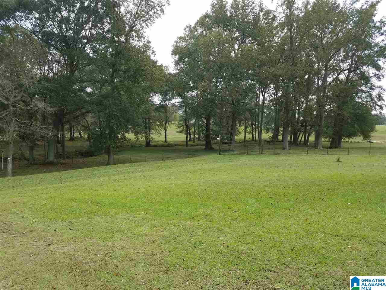 1479 Moore Road Altoona, AL 35952 - Photo 35 of 41