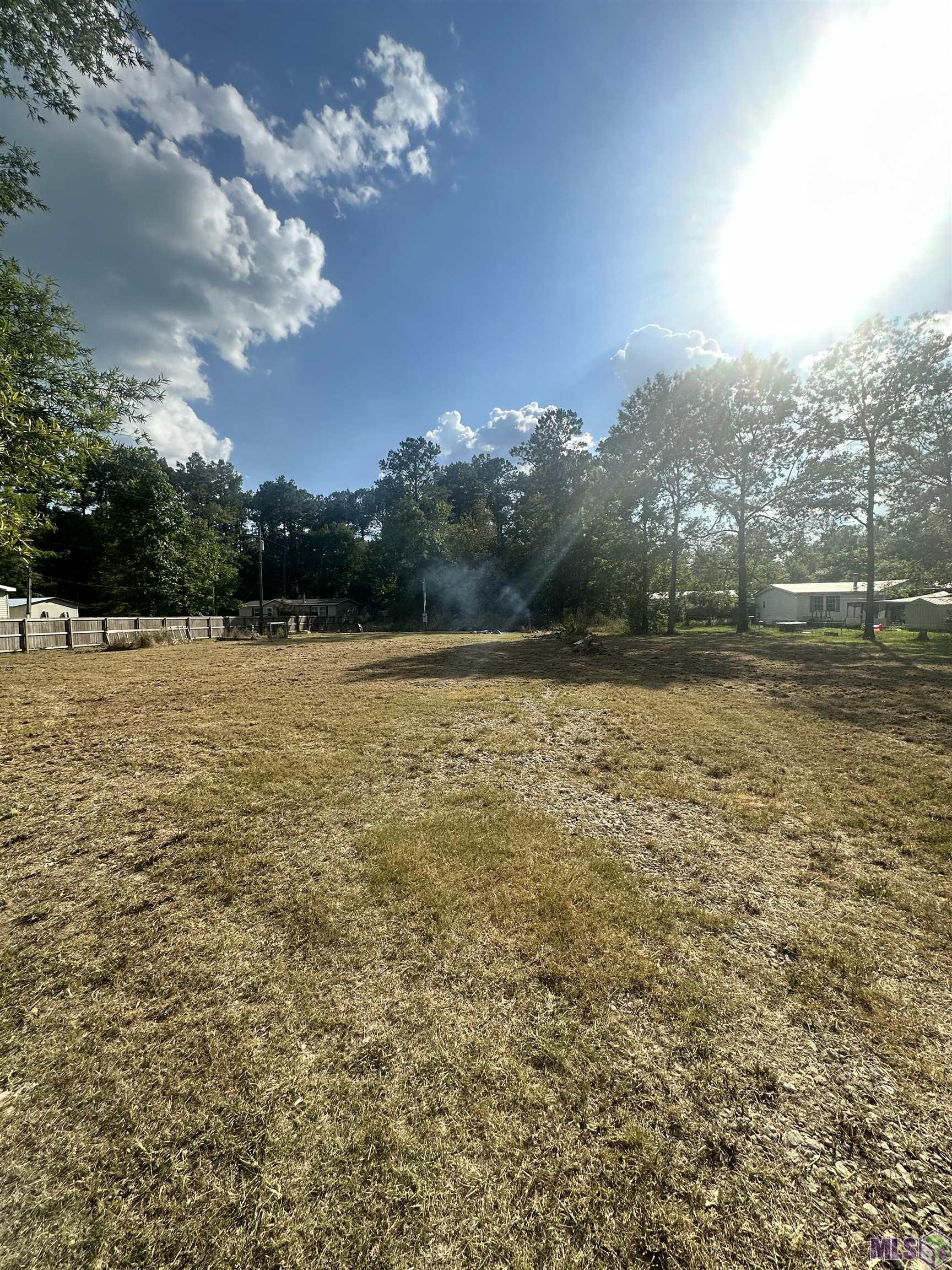 33545 Weiss Road Walker, LA 70785 - Photo 3 of 8