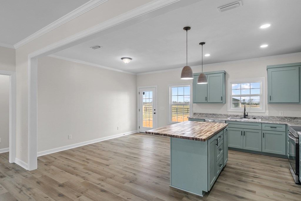 797 Judge Logue Road Newton, AL 36352 - Photo 8 of 32