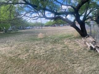 105 Concho Street, Unit A Tye, TX 79563 - Photo 7 of 8 a view of a yard with a tree