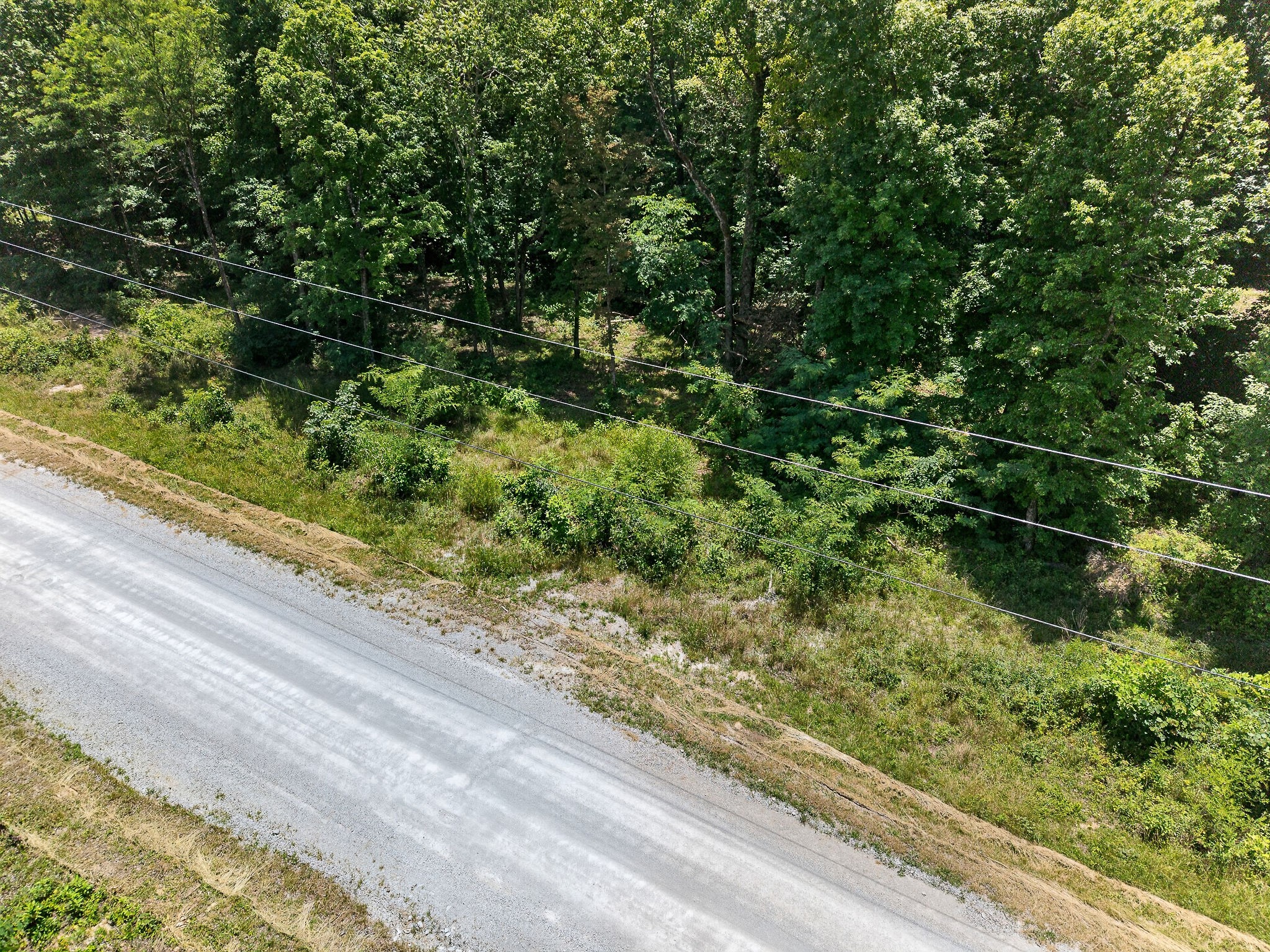 0 Coal Bank Road Sparta, TN 38583 - Photo 11 of 15 a view of a garden from a window