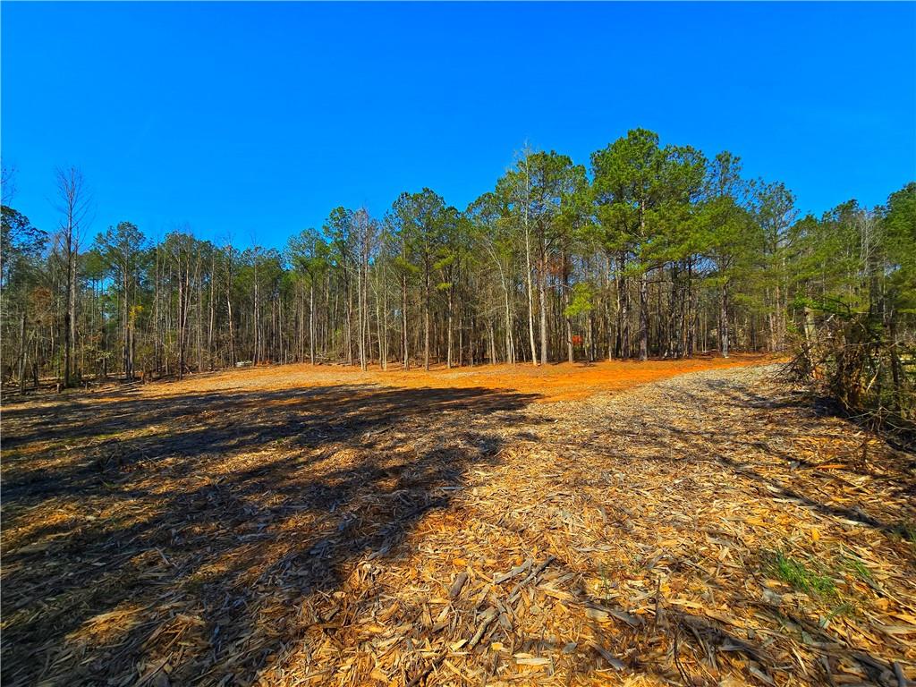 2001 Rocky Creek Road Mansfield, GA 30055 - Photo 19 of 60