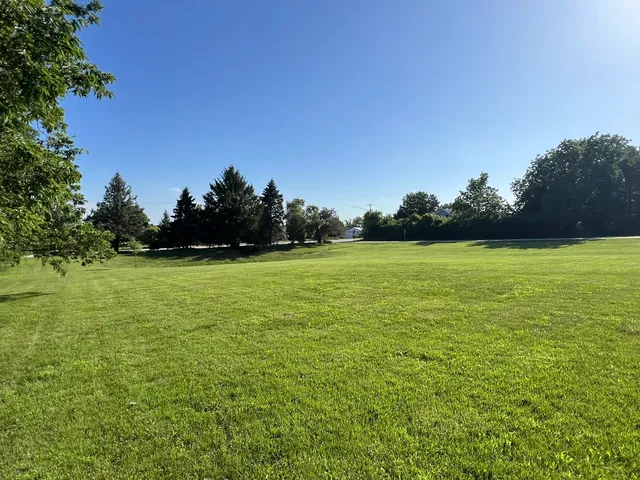 a view of a green field with trees in the background