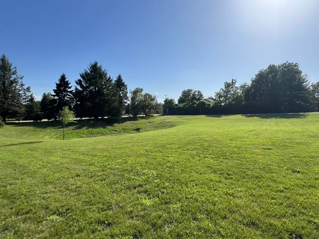 a view of a green field with trees in the background
