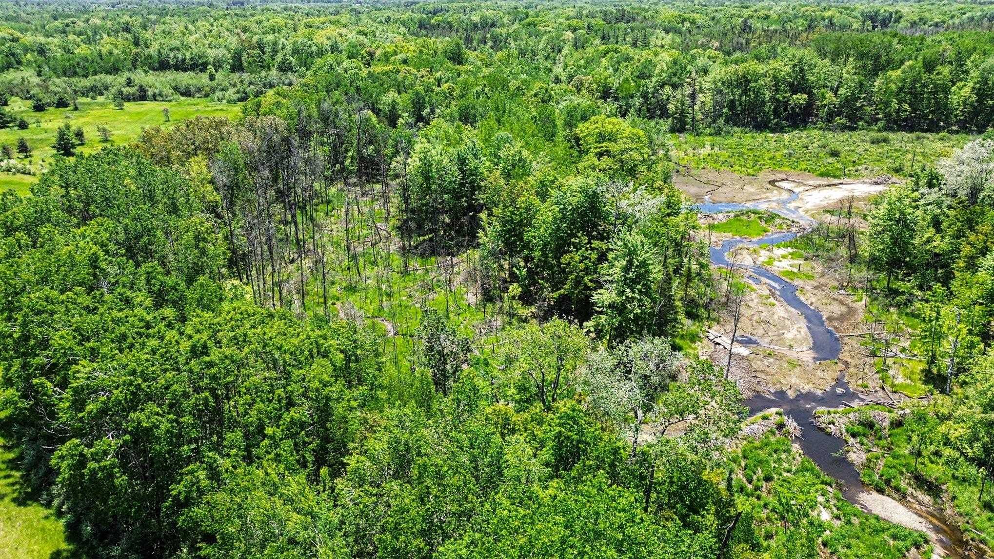 0 Ora Lake Road Hale, MI 48739 - Photo 5 of 22