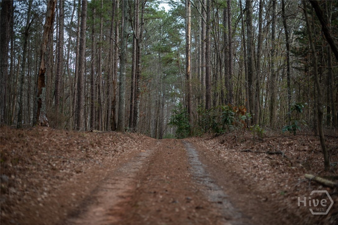 2020 Clotfelter Road Bogart, GA 30622 - Photo 51 of 62 Gallery Image 51