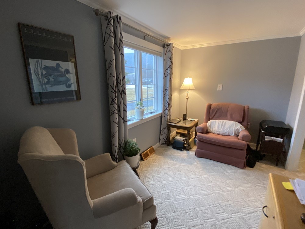 272 Old Mill Road East Branch, NY 13756 - Photo 19 of 27 Gallery Image 19