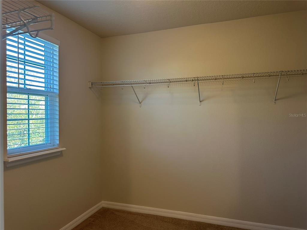 10710 Reams Road Windermere, FL 34786 - Photo 26 of 34