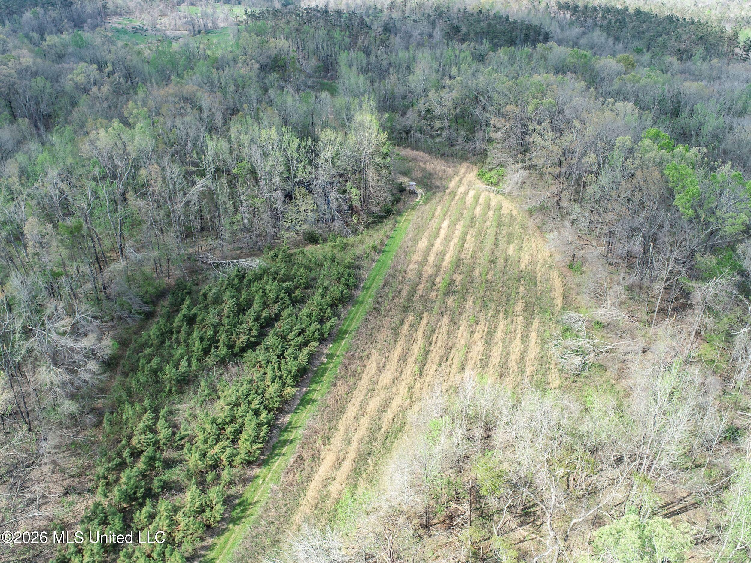 Chinqupin Road Lexington, MS 39095 - Photo 100 of 210 7chqpn30