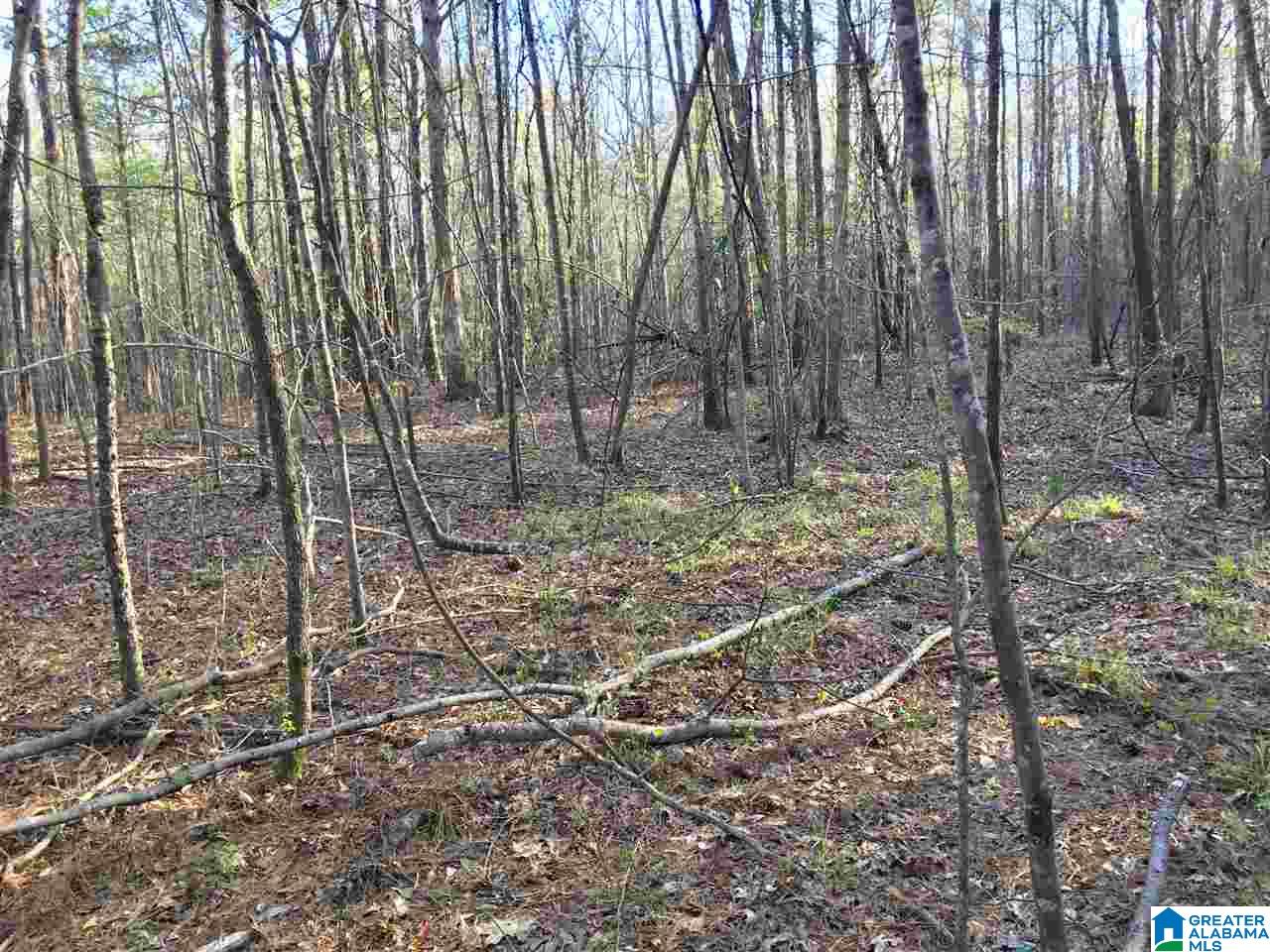 0 6th Street Alexander City, AL 35010 - Photo 5 of 13